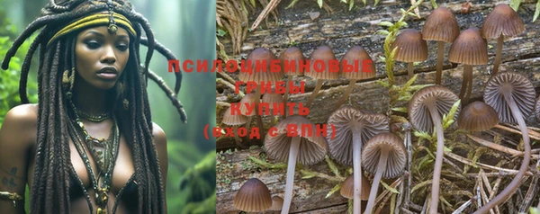 прущая мука Белокуриха