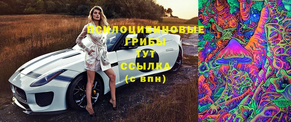 амф Богданович