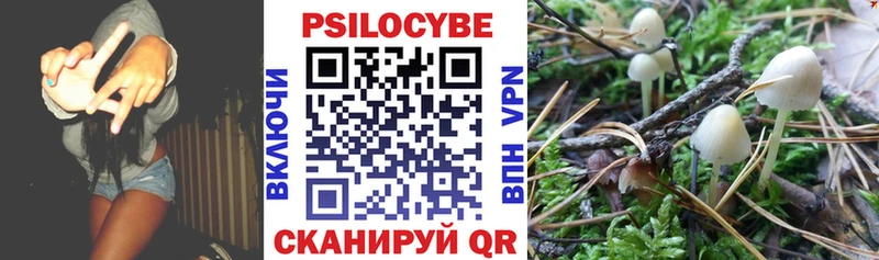 закладки  Борзя  Псилоцибиновые грибы Magic Shrooms 